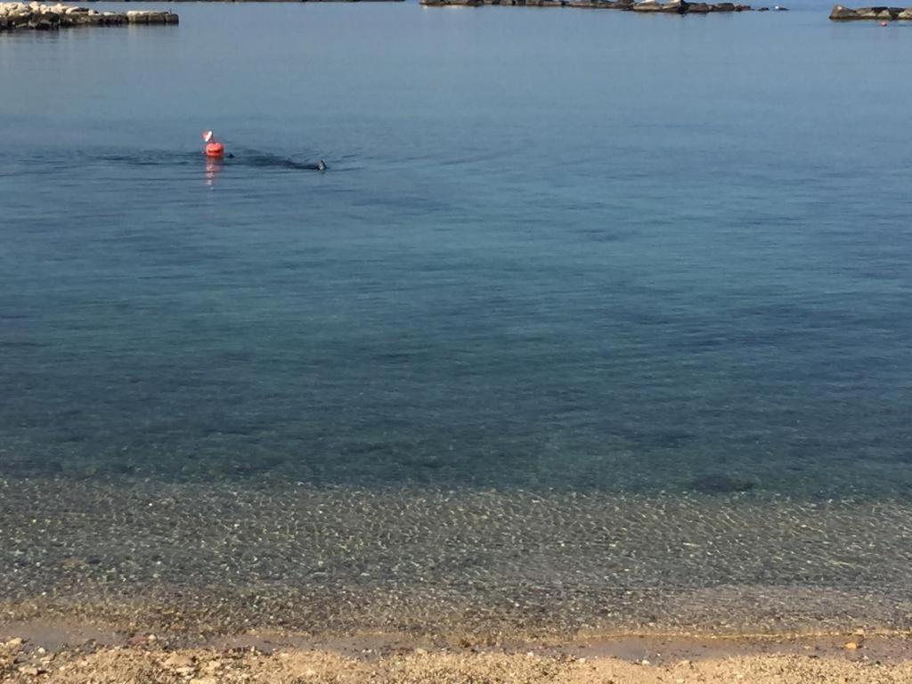 Apartmán La Mia Terrazza Sul Mare - Mared'Amare Bari Exteriér fotografie